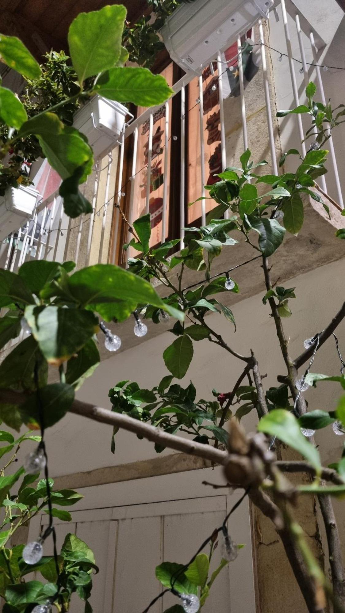 Appartement In Parva Domus à Bitonto Extérieur photo
